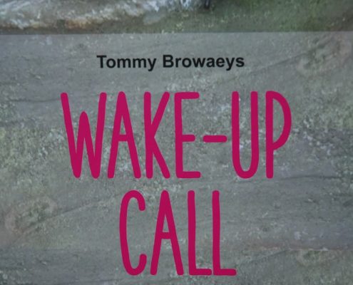 wake up call